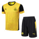2025-26 Dortmund Yellow Training Short Suit #D25211