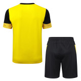 2025-26 Dortmund Yellow Training Short Suit #D25211