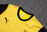 2025-26 Dortmund Yellow Training Short Suit #D25211