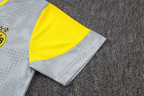 2025-26 Dortmund Light gray Training Short Suit #D25212