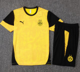 2025-26 Dortmund Yellow Training Short Suit #D25211
