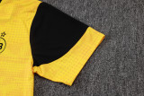 2025-26 Dortmund Yellow Training Short Suit #D25211
