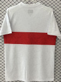 2025-26 Stuttgart 100th Special Edition Fans Soccer Jersey