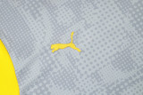 2025-26 Dortmund Light gray Training Short Suit #D25212