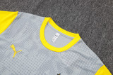 2025-26 Dortmund Light gray Training Short Suit #D25212