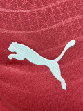 2026-27 Portugal Home Long Sleeve Player Version Soccer Jersey (长袖球员)