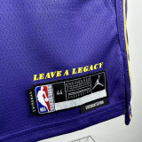 2025-26 Lakers REAVES #15 Purple Top Quality Hot Pressing NBA Jersey (Trapeze Edition) 飞人版