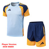 2025-26 AD Light gray Player Version Training Short Suit (球员短套装)#D2505