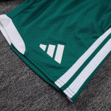2025-26 AD Green Player Version Training Short Suit (球员短套装)#D2506