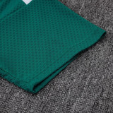 2025-26 AD Green Player Version Training Short Suit (球员短套装)#D2506