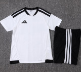 2025-26 AD White Player Version Training Short Suit (球员短套装)#D2506