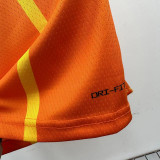 2025-26 Hornets BALL #1 Orange City Edition Top Quality Hot Pressing NBA Jersey(V领)