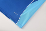 2025 AD Fancy blue Half Pull Tracksuit #AB09 (半拉链)