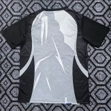 2025-26 Brazil Blue Grey Special Edition Training shirts (女神)