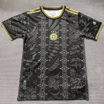 2025-26 Argentina Black Gold Special Edition Training shirts