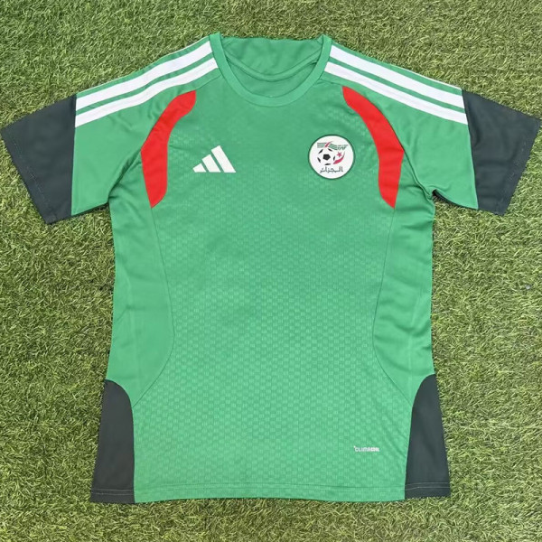 2026-27 Algeria Green Fans Training shirts (红格)
