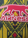 2026-27 Mali Home Player Version Soccer Jersey (吊花图)