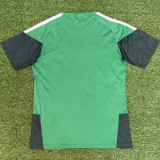 2026-27 Algeria Green Fans Training shirts (红格)