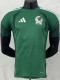 2026-27 Mexico Green Player Version Training shirts