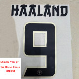 2025-26 Man City Special Edition Fans Soccer Jersey (马年)