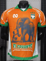 2025-26 Ivory Coast Orange Special Edition Player Version Soccer Jersey