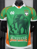 2025-26 Ivory Coast Green Special Edition Player Version Soccer Jersey