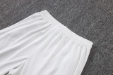 2025-26 Flamengo Light gray Half Pull Tracksuit #B25129(半拉链)
