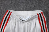2025-26 Flamengo Light gray Half Pull Tracksuit #B25129(半拉链)