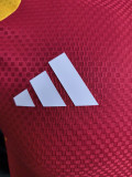 2026-27 Germany Red Player Version Training shirts