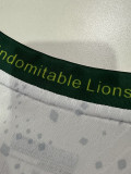 2026-27 Cameroon Away Player Version Soccer Jersey