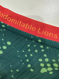 2026-27 Cameroon Home Player Version Soccer Jersey