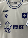 2025-26 Auxerre Home Fans Soccer Jersey