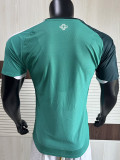 2026-27 Northern Ireland Home Player Version Soccer Jersey