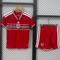 2026-27 Wales Home Kids Soccer Jersey