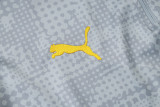 2025-26 Dortmund Yellow Half Pull Tracksuit #B25142(半拉链)