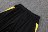 2025-26 Dortmund Yellow Kids Half Pull Tracksuit #E25218(童装)(半拉链)