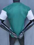 2026-27 Italy Green Player Version Training shirts