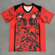2025-26 Necaxa Third Fans Soccer Jersey