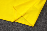 2025-26 Brazil Yellow Training Short Suit #D25254