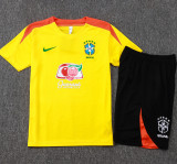 2025-26 Brazil Yellow Training Short Suit #D25254