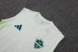 2025-26 Al-Ahli Saudi Light green Tank top and shorts suit #D25262