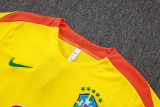 2025-26 Brazil Yellow Training Short Suit #D25254