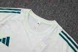 2025-26 Al-Ahli Saudi Light green Training Short Suit #D25265
