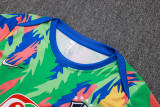 2025-26 Brazil Green Training Short Suit #D25267