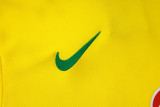 2025-26 Brazil Yellow Training Short Suit #D25254