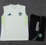 2025-26 Al-Ahli Saudi Light green Tank top and shorts suit #D25262