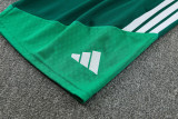 2026-27 Algeria Green Tank top and shorts suit