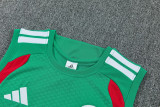 2026-27 Algeria Green Tank top and shorts suit