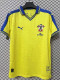 2025-26 Southampton Yellow Special Edition Fans Soccer Jersey