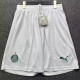 2026-27 Palmeiras Home Shorts Pants